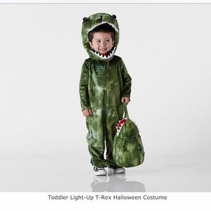 Pottery barn light up Dino costume